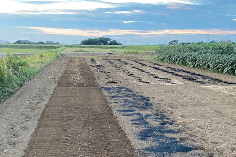 株式会社フェイガーの事業：バイオ炭の農地施用のイメージ画像です。